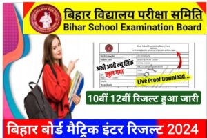 Bihar Board 10th 12th Result 2024 Download Kare