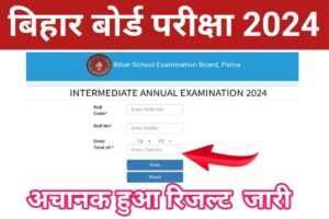 Bihar Board 10th 12th Result 2024 Link Active